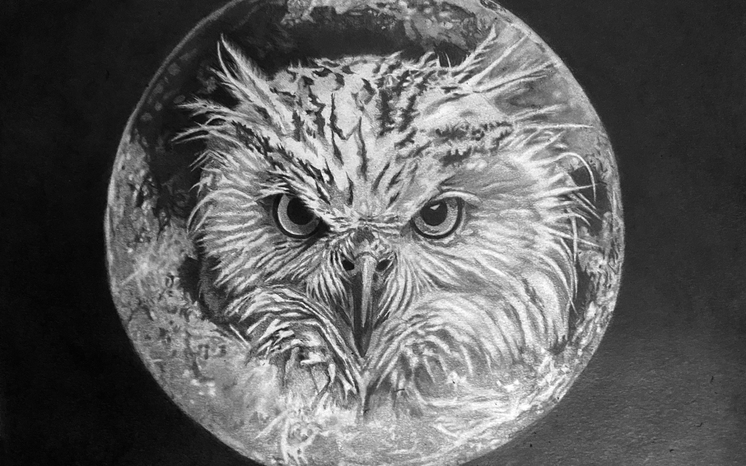 Owl & Moon