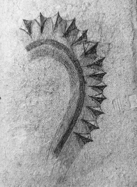 octopus-leg-spine