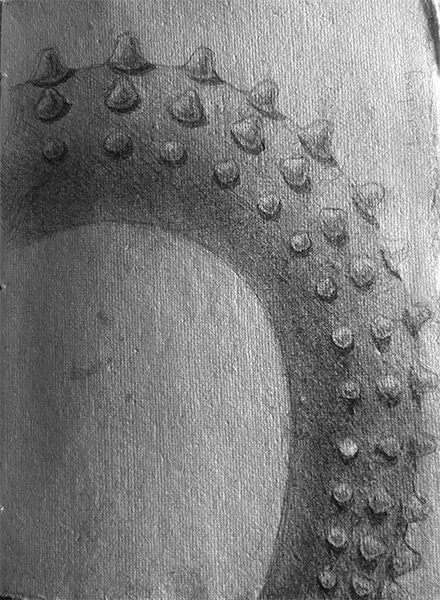 octopus-leg-spine