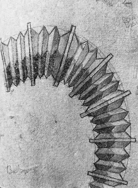 octopus-leg-spine