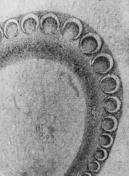 octopus-leg-spine