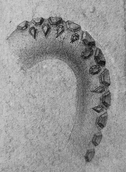octopus-leg-spine