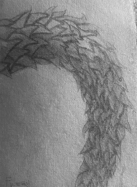 octopus-leg-spine