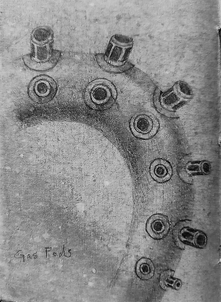 octopus-leg-spine