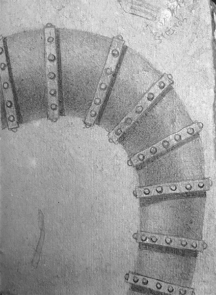 octopus-leg-spine