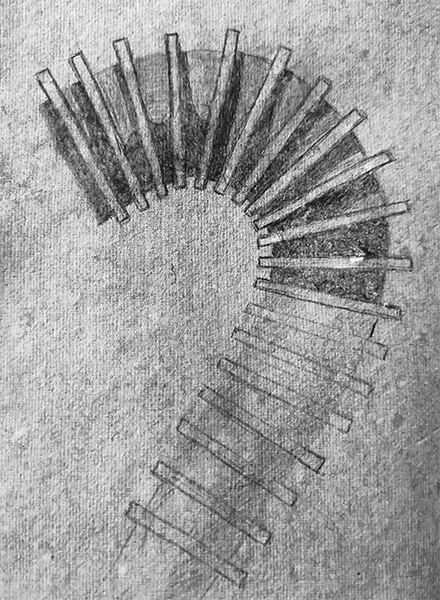 octopus-leg-spine