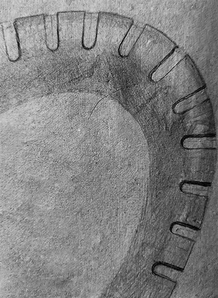 octopus-leg-spine