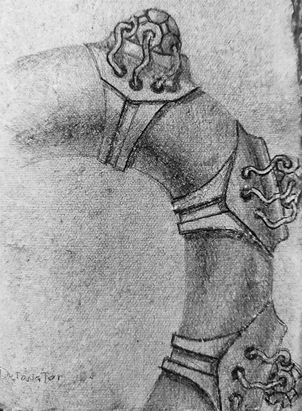 octopus-leg-spine