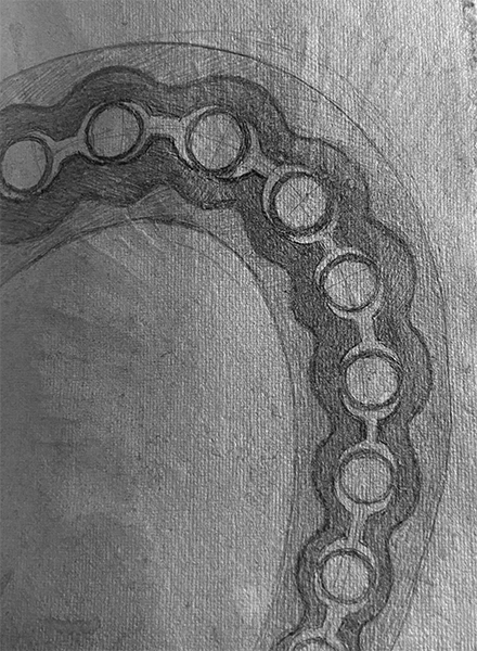 octopus-leg-spine