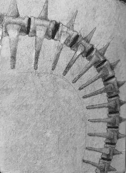 octopus-leg-spine